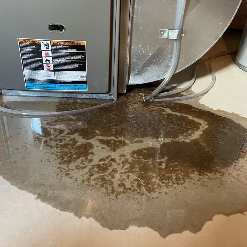 Appliance Leak Cleanup in Millbrook, NY